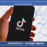 Come funziona TikTok Now
