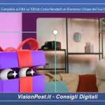 Guida Completa ai Filtri su TikTok-Come Renderli un Elemento Chiave dei Tuoi Video